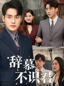 短剧辞慕不识君海报