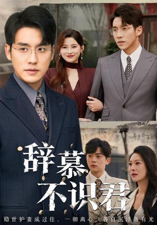 短剧辞慕不识君海报