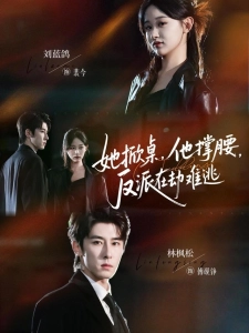 短剧她掀桌，他撑腰，反派在劫难逃海报