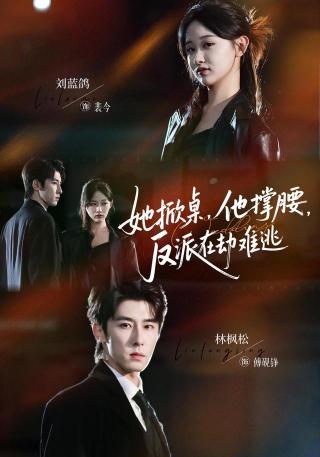 短剧她掀桌，他撑腰，反派在劫难逃海报