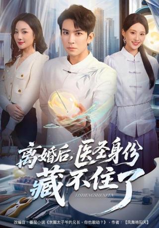 短剧离婚后，医圣身份藏不住了海报