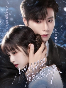 短剧小可怜哭哭，顾总宠上天海报