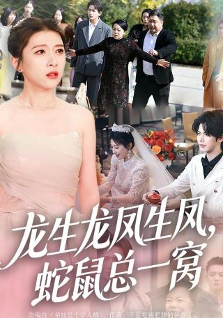 短剧龙生龙凤生凤，蛇鼠总一窝海报