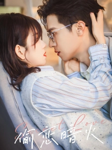 短剧偷恋暗火海报