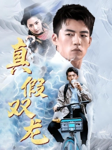 短剧真假双龙海报