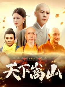 短剧天下嵩山海报