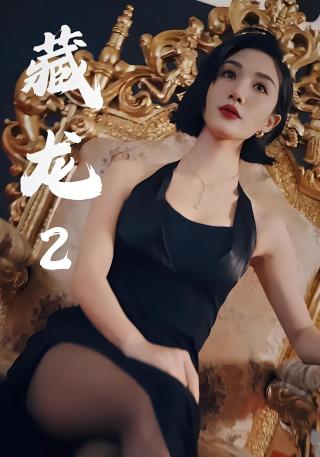 短剧藏龙2海报