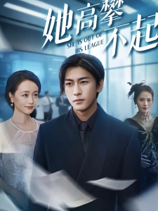 短剧她高攀不起海报