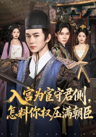 短剧入宫为宦守君侧，怎料你权压满朝臣海报
