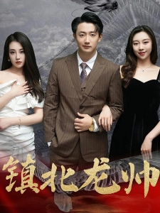 短剧镇北龙帅海报