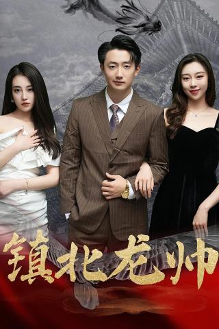 短剧镇北龙帅海报