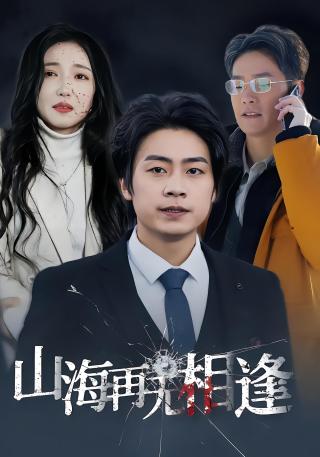 短剧山海再无相逢海报