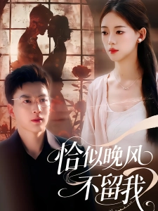 短剧恰似晚风不留我海报