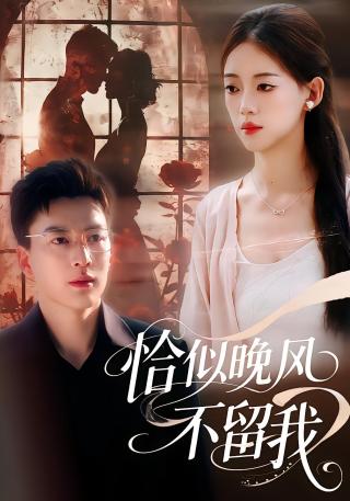 短剧恰似晚风不留我海报