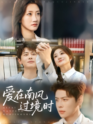 短剧爱在南风过境时海报