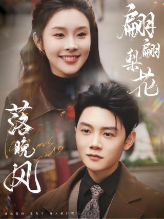 短剧翩翩梨花落晚风海报