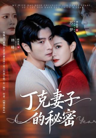 短剧丁克妻子的秘密海报