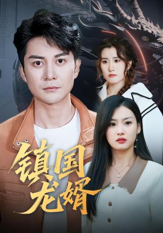 短剧镇国龙婿海报
