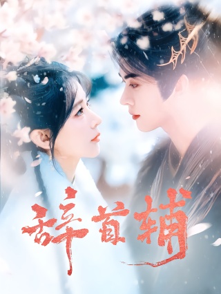 短剧辞首辅海报