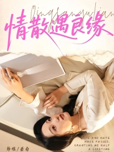 短剧情散遇良缘海报