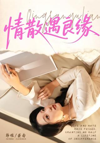 短剧情散遇良缘海报