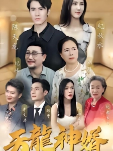 短剧天龙神婿海报