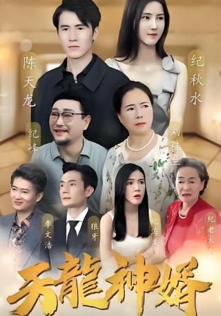 短剧天龙神婿海报