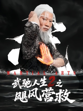 短剧武驰人生2之飓风营救海报