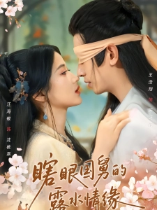 短剧瞎眼国舅的露水情缘海报