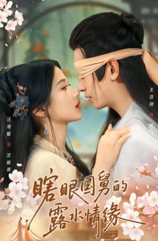 短剧瞎眼国舅的露水情缘海报
