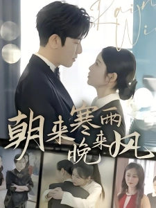 短剧朝来寒雨晚来风海报