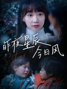 短剧昨夜星辰今日风海报