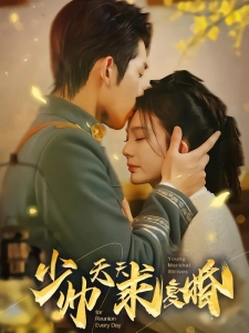 短剧少帅天天求复婚海报