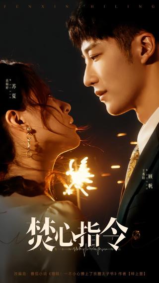 短剧焚心指令海报