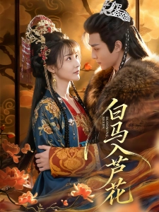 短剧白马入芦花海报