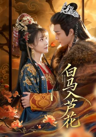 短剧白马入芦花海报