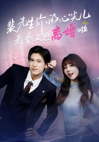 短剧裴先生你的心尖儿老婆又想离婚啦海报