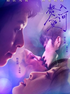 短剧赘入爱河海报