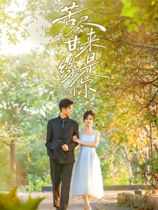 短剧苦尽甘来缘是你海报