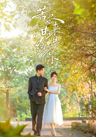 短剧苦尽甘来缘是你海报