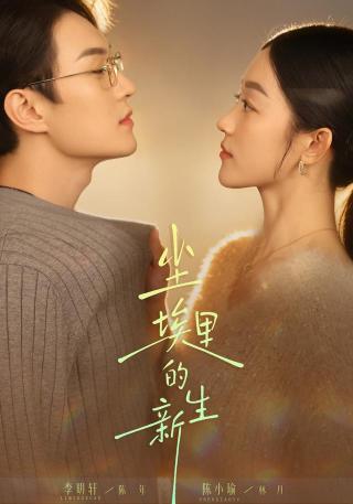 短剧尘埃里的新生海报