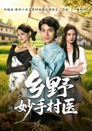 短剧乡野妙手村医海报
