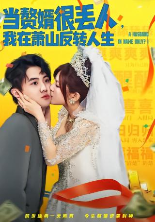 短剧当赘婿很丢人，我在萧山反转人生海报