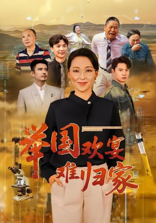 短剧举国欢宴难归家海报