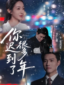 短剧你迟到了很多年海报