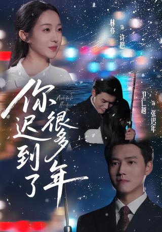 短剧你迟到了很多年海报