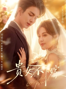 短剧贵女不下嫁海报