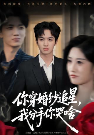 短剧你穿婚纱追星，我分手你哭啥海报