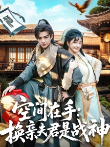 短剧空间在手：换亲夫君是战神海报