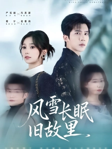 短剧风雪长眠旧故里海报